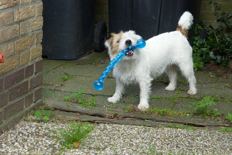 s.stick 022.JPG