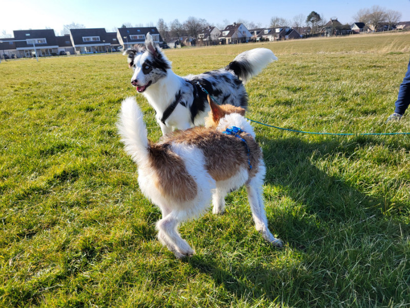 Skye-20220311_111737.jpg