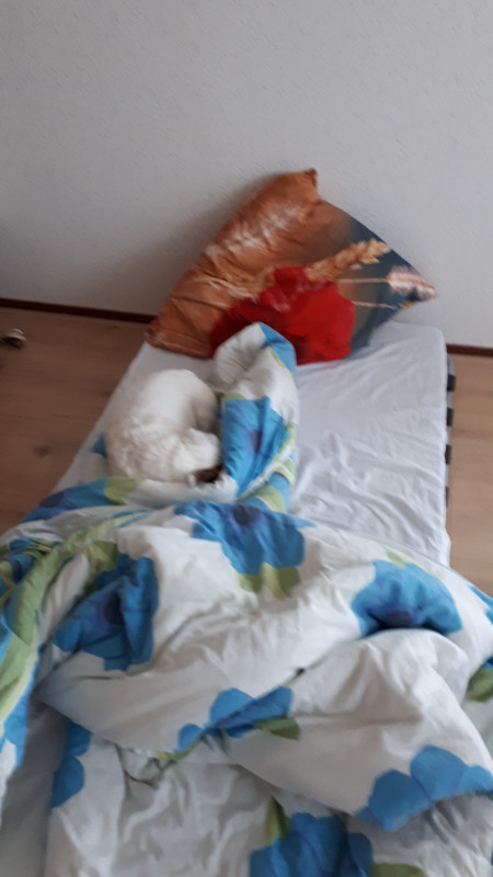 20220409_082519.jpg