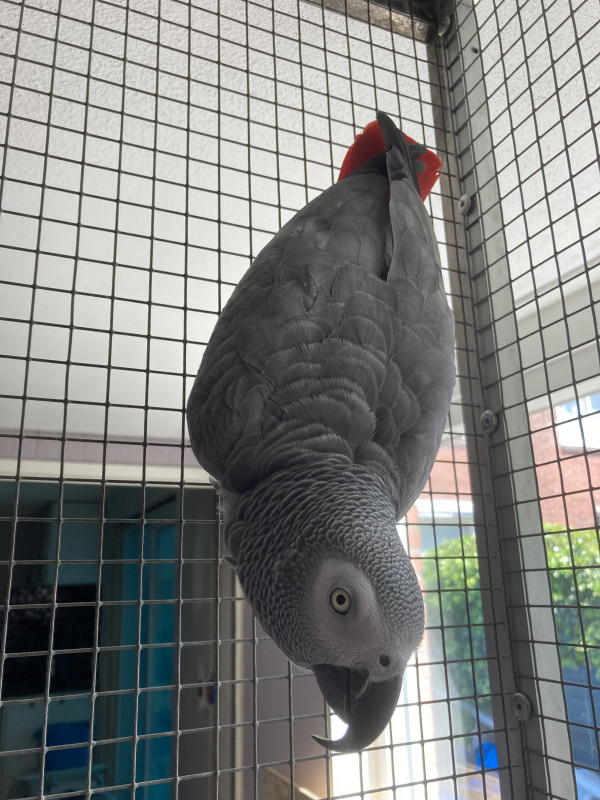 7E76127C-112C-4EFE-A314-8BC4C616D6E6.jpeg