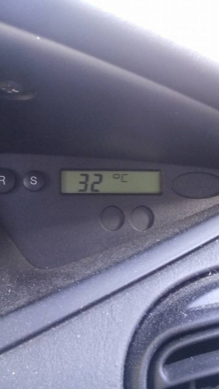heelergwarm.jpg