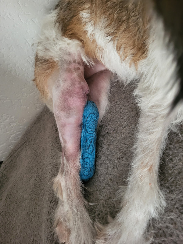 foto van 30 sept, pen zit onder het verband.
