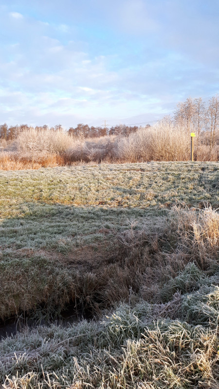 20221209_093729.jpg (5.81 MiB) 995 keer bekeken 20221209_093729.jpg
