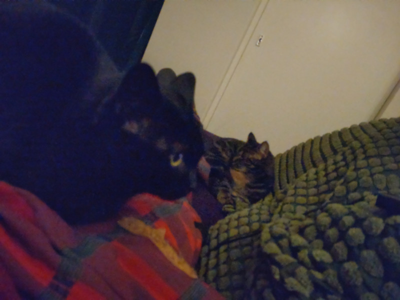DSC_1831.JPG
