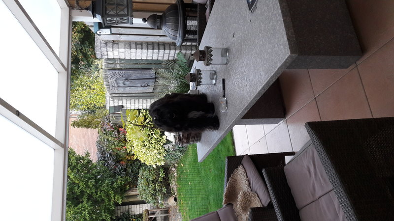 20170926_190459.jpg