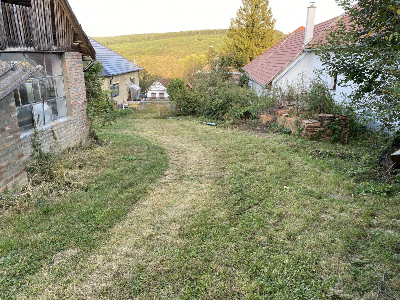 Hun terrein richting oosten