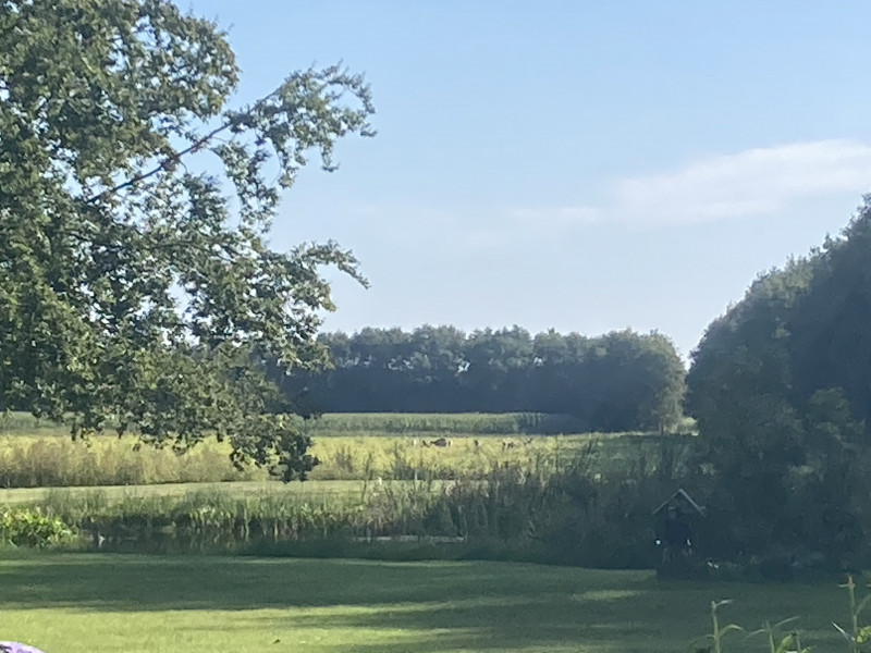 IMG_2517.jpeg