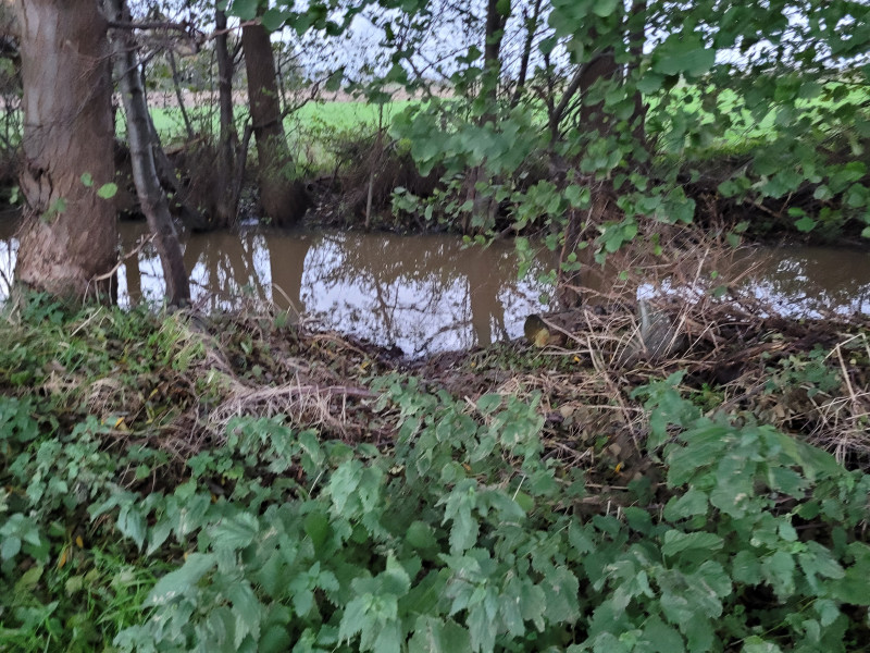 20231115_075335.jpg