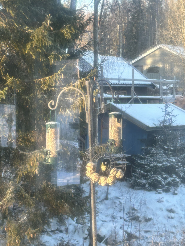 IMG_4175.jpeg