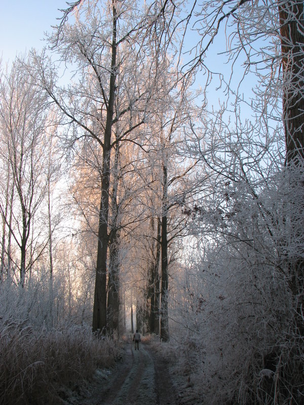 witlimburg2007 016.jpg