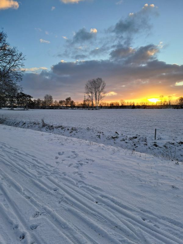 20240119_085414~2.jpg