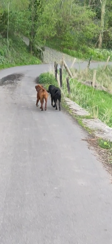 Samen stokje lopen