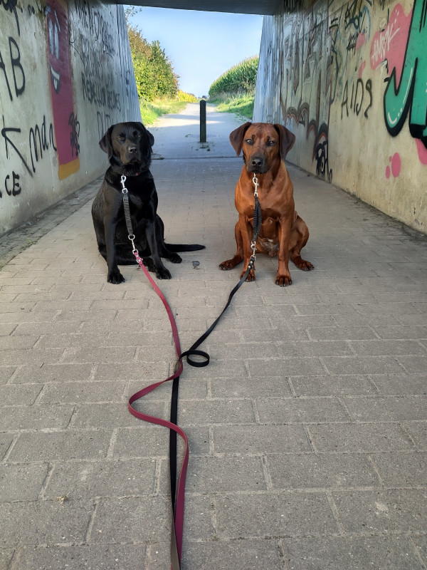 Terug richting Gent