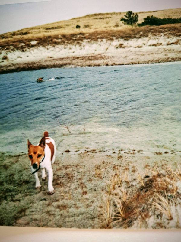 20240815_163152-EFFECTS.jpg