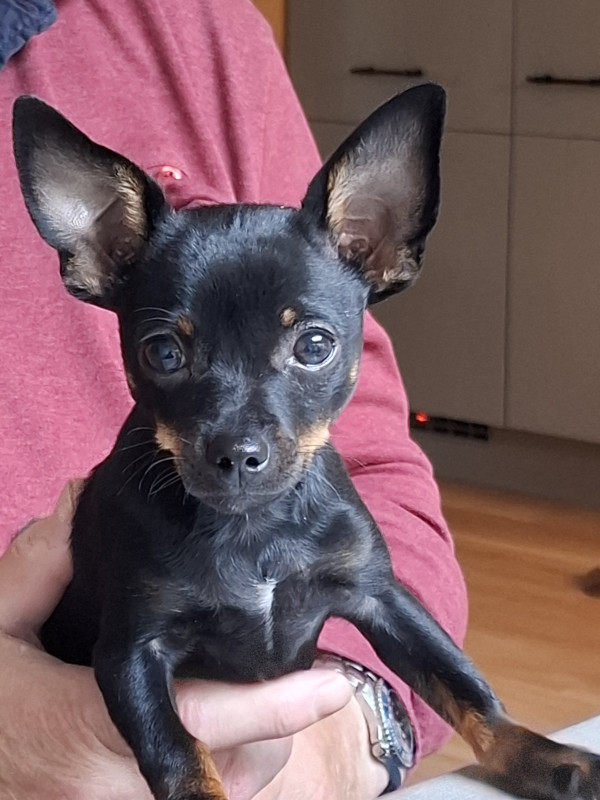 20241022_101842.jpg