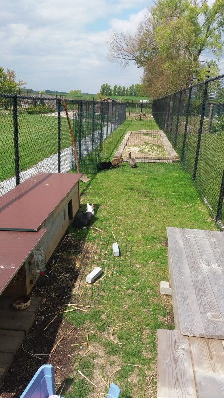 20170429_135832.jpg