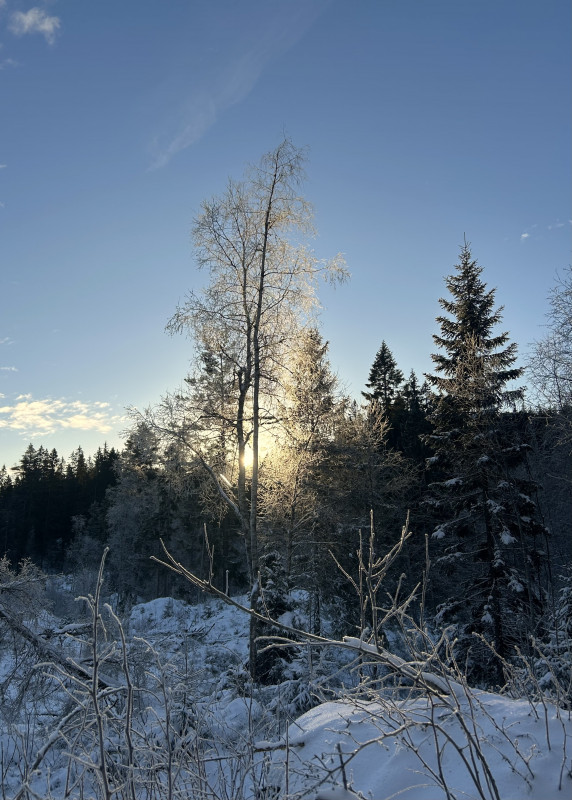 IMG_6899.jpeg