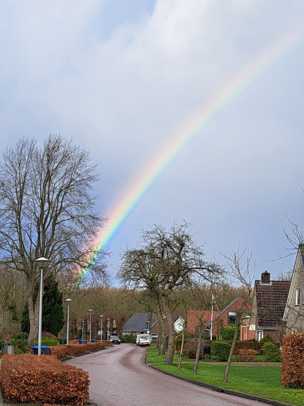 20250110_133729~2.jpg