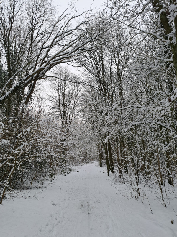 20250213_085045.jpg