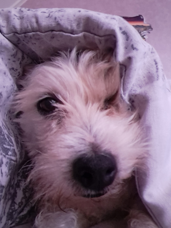 20250220_080412.jpg