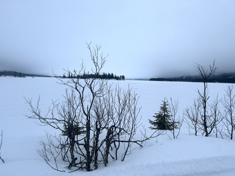 IMG_7126.jpeg