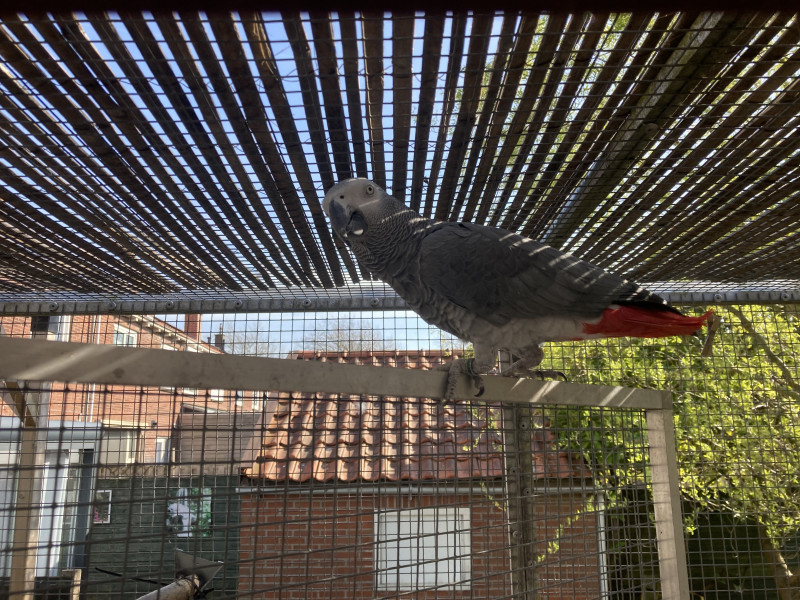 IMG_5341.jpeg