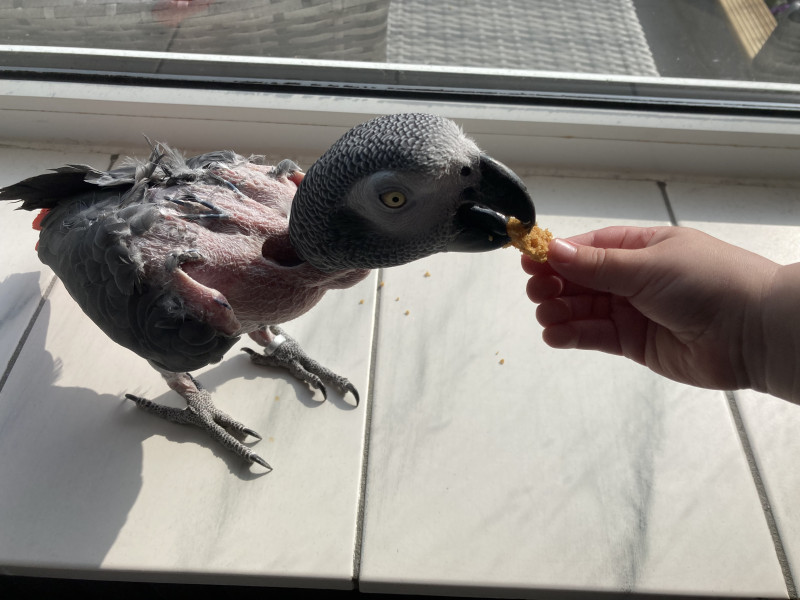 IMG_5396.jpeg