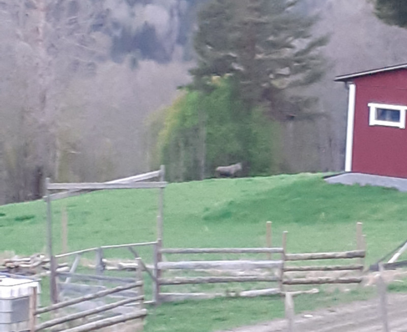 20250512_213001.jpg