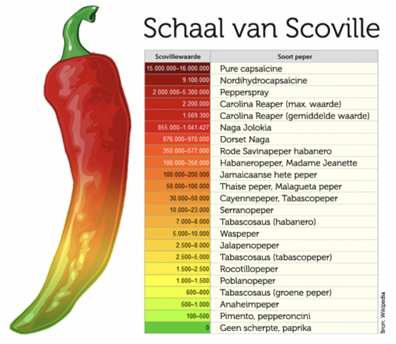 Naamloos.png