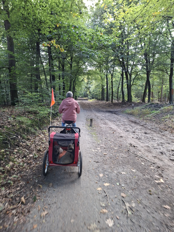 20250922_150543.jpg