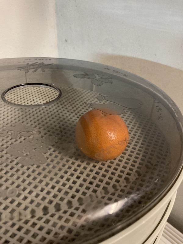 IMG_6639.jpeg