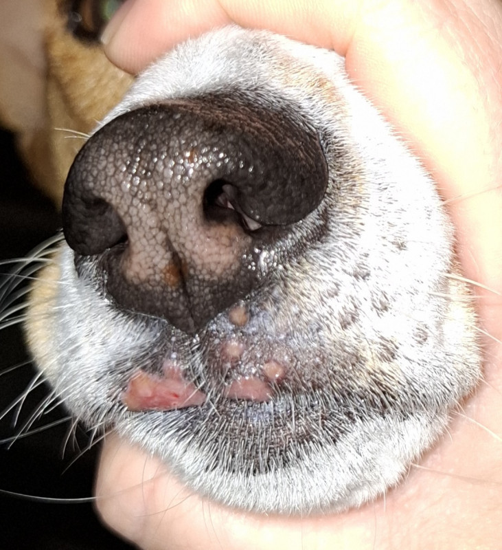 20251122_213537.jpg
