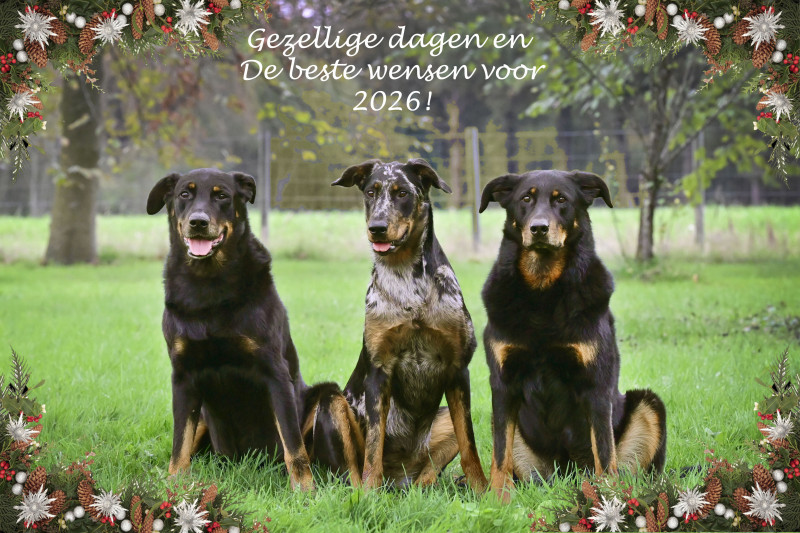 kerstkaart-2025.jpg