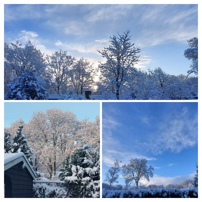 Sneeuw.jpg