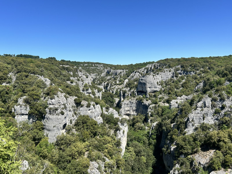IMG_0046.jpeg