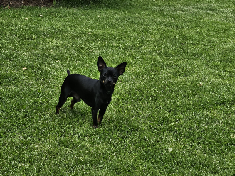 20260617_133143.jpg