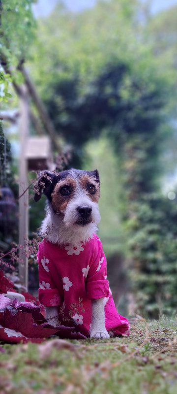 20260806_130518.jpg