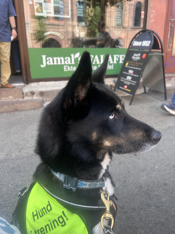 IMG_0744.jpeg