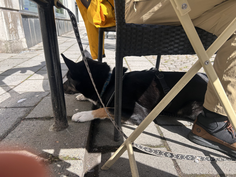 IMG_0844.jpeg