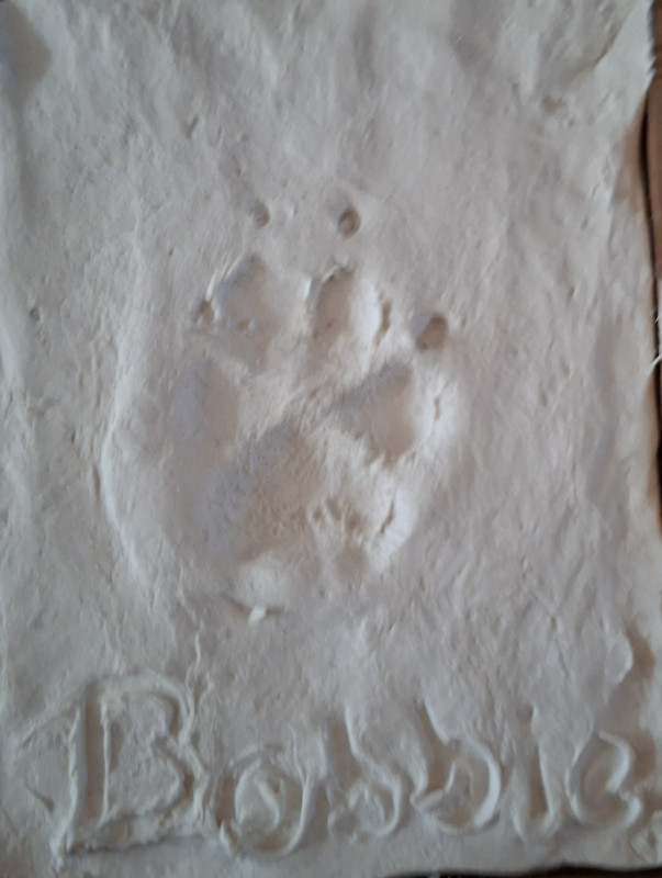 20260914_192136.jpg