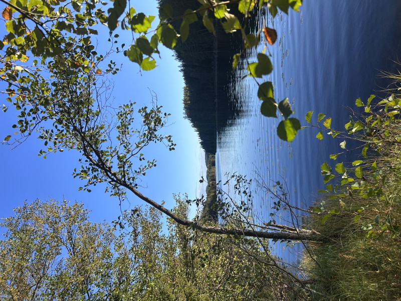 IMG_1135.jpeg