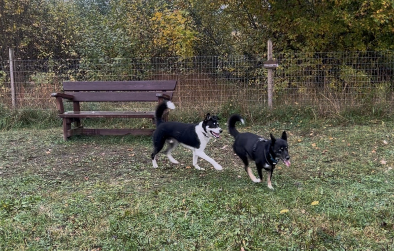 IMG_1210.jpeg