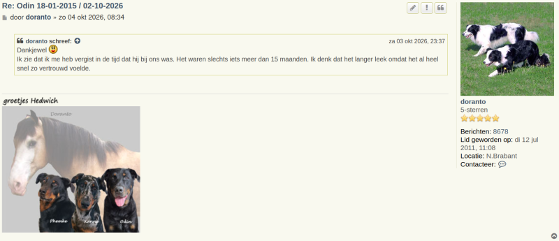 Naamloos.png