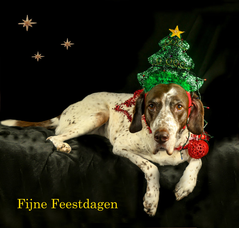 kerstkaart.jpg