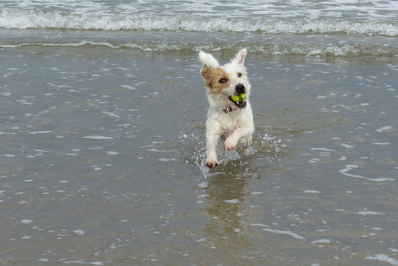 aan zee 048.JPG