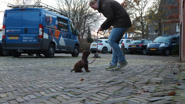 Eerste puppy cursus