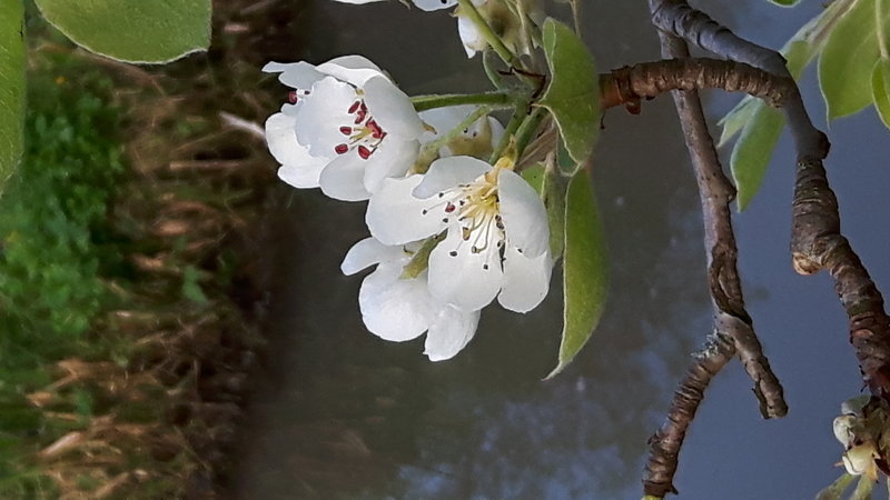 20170404_105018.jpg