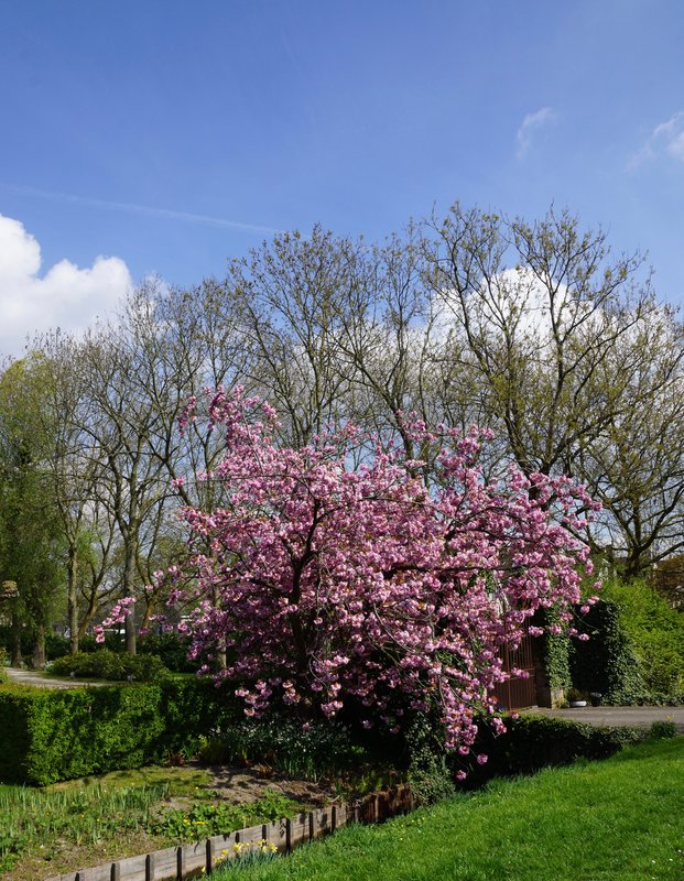 DSC08306.jpg