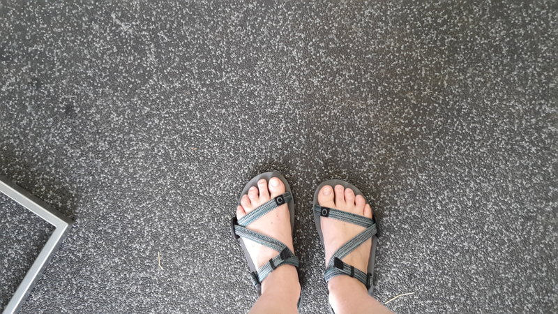 20180728_155831.jpg