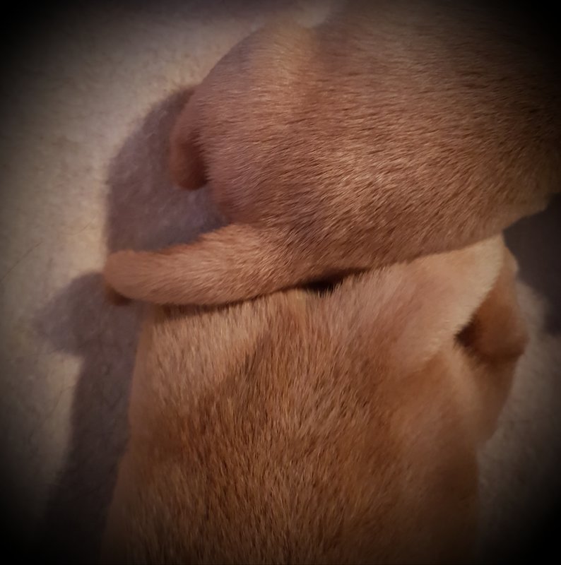 20181025_085243.jpg